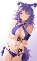 Rule 34 | 1girl, absurdres, animal ears, arm grab, bikini, bracelet, breasts, cleavage, highres, jewelry, large breasts, makoto (princess connect!), makoto (summer) (princess connect!), ndsa7423, princess connect!, purple hair, spiked hair, standing, swimsuit, tail, white background, wolf ears, wolf tail, wrist cuffs, yellow eyes
