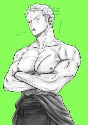 Rule 34 | 1boy, bara, cowboy shot, green background, green hair, greyscale with colored background, highres, large pectorals, looking ahead, male focus, maruopzx, muscular, muscular male, nipples, one piece, pectorals, roronoa zoro, sanpaku, scar, scar across eye, short hair, sigh, solo, topless male, tsurime