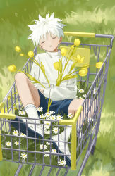 Rule 34 | 1boy, absurdres, blue shorts, closed eyes, daisy, flower, grass, highres, hunter x hunter, killua zoldyck, long sleeves, male focus, outdoors, parted lips, shorts, sitting, sleeping, sleeping upright, socks, solo, spiked hair, sweater, tulip, white flower, white footwear, white hair, white socks, white sweater, yellow flower, yuhuan
