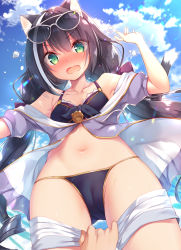 Rule 34 | 1girl, animal ear fluff, animal ears, bikini, bikini under clothes, black bikini, black hair, blue sky, blush, breasts, cameltoe, cat ears, cat girl, cat tail, cleft of venus, clothes pull, cloud, collarbone, commentary request, day, drawstring, eyewear on head, fang, from below, green eyes, grey-framed eyewear, hair between eyes, hand up, jacket, karyl (princess connect!), karyl (summer) (princess connect!), long hair, looking at viewer, looking down, low twintails, multicolored hair, navel, nose blush, off shoulder, open mouth, out of frame, outdoors, princess connect!, puffy short sleeves, puffy sleeves, pulling another&#039;s clothes, purple jacket, ringlets, sazaki ichiri, short shorts, short sleeves, shorts, shorts pull, sky, solo focus, streaked hair, sunglasses, swimsuit, tail, twintails, very long hair, white hair, white shorts