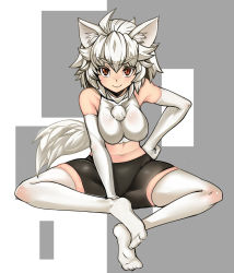 Rule 34 | 1girl, animal ears, bad id, bad pixiv id, bike shorts, breasts, elbow gloves, female focus, gloves, hand on own hip, inubashiri momiji, kuri-magu kuroguro, large breasts, looking at viewer, midriff, navel, no headwear, no headwear, red eyes, short hair, smile, solo, tail, thighhighs, touhou, white hair, white thighhighs, wolf ears, wolf tail