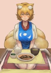 Rule 34 | 1girl, absurdres, animal ear fluff, animal ears, blonde hair, blush, bowl, breasts, brooch, chanta (ayatakaoisii), cushion, food, fox ears, highres, huge breasts, jewelry, looking at viewer, multiple tails, parted lips, pink background, seiza, shirt, short hair, simple background, sitting, skirt, slit pupils, smile, solo, tabard, tail, touhou, white shirt, white skirt, yakumo ran, yellow eyes, zabuton