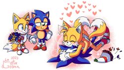 Rule 34 | 2boys, blush, bouquet, couple, flower, furry, furry male, gloves, heart, highres, holding hands, hug, la gata golosa, multiple boys, multiple tails, red footwear, simple background, smile, sonic (series), sonic the hedgehog, tagme, tail, tails (sonic), two tails, white gloves, yaoi