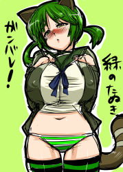 Rule 34 | 00s, 1girl, animal ears, bottomless, breasts, cleavage, covered erect nipples, female focus, green background, green hair, highres, huge breasts, lappuru, no pants, panties, solo, standing, strike witches, striped clothes, striped panties, striped thighhighs, tail, thighhighs, translated, underwear, world witches series, yellow eyes