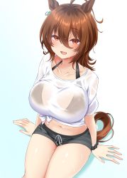 Rule 34 | 1girl, :d, absurdres, agnes tachyon (umamusume), ahoge, alternate costume, animal ears, arm support, bikini, bikini under clothes, black bikini, black scrunchie, black shorts, blush, breasts, brown hair, collarbone, commentary request, earrings, empty eyes, hair between eyes, highres, horse ears, horse girl, horse tail, jewelry, large breasts, looking at viewer, lower body, messy hair, midriff, navel, open mouth, red eyes, ryochapu, scrunchie, shadow, shirt, short hair, short shorts, short sleeves, shorts, sidelocks, single earring, sitting, smile, solo, swimsuit, t-shirt, tail, tied shirt, umamusume, wet, wet clothes, wet hair, wet shirt, white shirt, wrist scrunchie