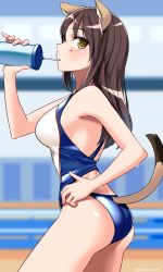 Rule 34 | 1girl, absurdres, animal ears, ass, blush, breasts, brown hair, cat ears, cat tail, competition swimsuit, drink, eleonore giovanna gassion, highres, hiroshi (hunter-of-kct), large breasts, long hair, looking at viewer, luminous witches, one-piece swimsuit, shiny skin, solo, swimsuit, tail, world witches series, yellow eyes