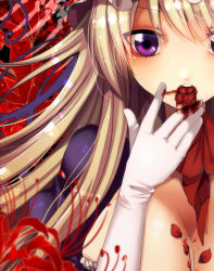 Rule 34 | 1girl, blonde hair, blood, blood in mouth, blood on breasts, blood on hands, blurry, breasts, choker, commentary request, depth of field, dress, eating, elbow gloves, eyes visible through hair, flower, fua yuu, gloves, large breasts, long hair, looking at viewer, petals, puffy short sleeves, puffy sleeves, purple dress, purple eyes, ribbon choker, short sleeves, solo, spider lily, teeth, touhou, upper body, very long hair, white gloves, yakumo yukari