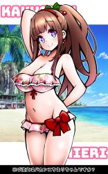 Rule 34 | .live, 1girl, absurdres, alternate costume, alternate hairstyle, beach, blue eyes, breasts, brown hair, character name, cleavage, collarbone, commentary request, highres, kakyouin chieri, large breasts, navel, ocean, sky, smile, solo, virtual youtuber, zebrablack