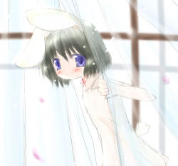 Rule 34 | 1girl, animal ears, babydoll, rabbit ears, female focus, flat chest, inaba tewi, indoors, plant, solo, standing, touhou