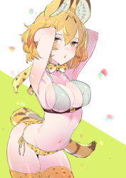 Rule 34 | 10s, 1girl, alternate breast size, alternate costume, animal ears, animal print, arched back, armpits, arms behind head, arms up, bad id, bad pixiv id, bare arms, bare shoulders, bikini, blonde hair, bow, bowtie, breasts, brown eyes, cleavage, collarbone, contrapposto, cowboy shot, elbow gloves, gloves, grey bikini, hair between eyes, kemono friends, large breasts, leaning forward, leopard print, looking at viewer, mismatched bikini, open mouth, print bikini, serval (kemono friends), serval print, serval tail, short hair, side-tie bikini bottom, sideboob, sketch, solo, standing, striped tail, swimsuit, tail, tajima ryuushi, thighhighs, thighs, yellow bikini, yellow thighhighs