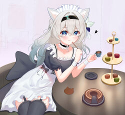 Rule 34 | 1girl, :q, absurdres, alternate costume, animal ears, black hairband, black shirt, black thighhighs, cat ears, choker, commentary request, cup, enmaided, firefly (honkai: star rail), garter straps, grey hair, hair between eyes, hairband, hands up, highres, holding, holding cup, honkai: star rail, honkai (series), kemonomimi mode, knosdeba, long hair, looking at viewer, maid, purple eyes, shirt, short sleeves, sitting, skirt, smile, solo, teacup, thighhighs, tongue, tongue out, very long hair, white skirt