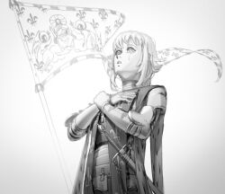 Rule 34 | 1girl, absurdres, armor, bad id, bad twitter id, banner, braid, breastplate, cape, crying, crying with eyes open, flag, hands on own chest, highres, long hair, original, parted lips, simple background, solo, standing, sword, tabard, tears, wass nonnam, weapon, white background