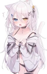 Rule 34 | 1girl, @ @, animal ear fluff, animal ears, black bra, black panties, blue eyes, bra, breasts, cat ears, cat girl, cat tail, collar, commentary, fang, heterochromia, highres, jacket, long hair, long sleeves, looking at viewer, medium breasts, off shoulder, open clothes, open jacket, open mouth, original, panties, ringouulu, skin fang, strap slip, surprised, tail, two side up, underwear, undressing, white background, white hair, white jacket, yellow eyes