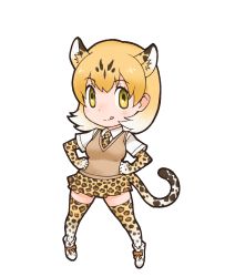 Rule 34 | 1girl, animal costume, animal ear fluff, animal ears, highres, kemono friends, leopard (kemono friends), looking at viewer, official art, solo, standing, tachi-e, tail, transparent background, yoshizaki mine