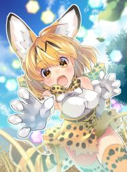 Rule 34 | 10s, 1girl, animal ears, blonde hair, blush, bow, bowtie, breasts, cowboy shot, day, elbow gloves, fang, gloves, grass, kemono friends, looking at viewer, open mouth, outdoors, paw pose, serval (kemono friends), serval print, serval tail, short hair, sky, sleeveless, solo, tail, thighhighs, transpot nonoko, tree, yellow eyes