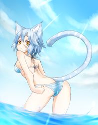 Rule 34 | 1girl, :/, animal ears, ass, bad id, bad pixiv id, bare back, bare legs, bare shoulders, bikini, blue hair, blue sky, breasts, cat ears, cat tail, day, from behind, highres, looking at viewer, medium breasts, orange eyes, original, partially submerged, ryota tentei, scar, short hair, sky, solo, swimsuit, tail, tora tentei, wading, water