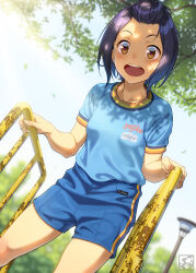 Rule 34 | 1girl, bangs pinned back, black hair, blue shirt, blue shorts, breasts, brown eyes, child, falling leaves, happy, highres, lamppost, leaf, open mouth, original, pairan, shirt, shorts, slide, small breasts, smile, solo, standing, tree shade