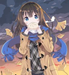 Rule 34 | 1girl, absurdres, baozi, black skirt, blue eyes, blue scarf, blush, brown coat, brown hair, cloud, cloudy sky, coat, covered mouth, duffel coat, food, fringe trim, ginkgo leaf, grey sweater, hair between eyes, hands up, highres, holding, holding food, leaf, long hair, long sleeves, open clothes, open coat, original, outdoors, plaid, plaid sweater, pleated skirt, scarf, skirt, sky, sleeves past wrists, solo, sunset, sweater, tantan men (dragon), very long hair