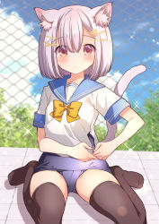 Rule 34 | 1girl, animal ear fluff, animal ears, black thighhighs, bow, cat ears, cat tail, chain-link fence, chestnut mouth, day, fence, grey hair, hair ornament, hairclip, kawanobe, looking at viewer, no shoes, original, paw hair ornament, school swimsuit, school uniform, serafuku, shirt, short hair, short sleeves, sitting, solo, swimsuit, swimsuit under clothes, tail, thighhighs, twitter username, uniform, wariza, white shirt, yellow bow