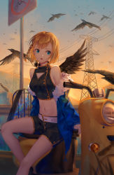Rule 34 | 1girl, animal, bare shoulders, belt, belt buckle, bird, black feathers, black footwear, black shirt, black shorts, black wings, blue eyes, blue jacket, braid, breasts, brown hair, buckle, commentary request, crow, feathered wings, feathers, fur-trimmed jacket, fur trim, highres, jacket, ji dao ji, midriff, motor vehicle, navel, off shoulder, open clothes, open jacket, original, outdoors, parted lips, power lines, road sign, scooter, shirt, shoes, short hair, short shorts, shorts, side braid, sign, single braid, single wing, sitting, sleeveless, sleeveless shirt, small breasts, solo, sunset, transmission tower, white belt, wings