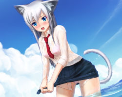 Rule 34 | 1girl, animal ears, blue eyes, blush, cat ears, cat tail, lingerie, open mouth, original, panties, pantyshot, see-through, shirakawa mayo, short hair, silver hair, skirt, sleeves rolled up, solo, tail, underwear, upskirt, water, wet, wet clothes, wringing clothes