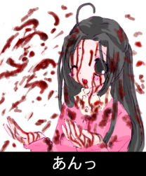 Rule 34 | 00s, 1girl, blood, blood on face, kakizaki megu, lowres, rozen maiden, solo, what