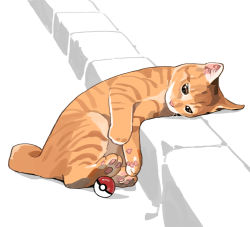 Rule 34 | animal focus, brown eyes, cat, creatures (company), derivative work, game freak, gentlecat, looking at object, looking down, lying, nintendo, no humans, on side, partially colored, photo-referenced, poke ball, poke ball (basic), pokemon, solo, stairs, symbol-only commentary, toes, whiskers