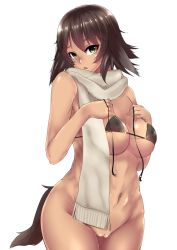 Rule 34 | 1girl, animal ears, bad id, bad pixiv id, bottomless, breasts, brown eyes, brown hair, dog ears, dog tail, huge breasts, looking at viewer, original, pussy, scarf, solo, tail, uncensored, unko samurai