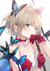 Rule 34 | 1girl, blue butterfly, blue eyes, bug, butterfly, butterfly brooch, butterfly hair ornament, c-93 (fluttering butterfly) (girls&#039; frontline), c-93 (fluttering like a butterfly) (girls&#039; frontline), c-93 (girls&#039; frontline), cane, collarbone, covered mouth, girls&#039; frontline, gloves, hair ornament, highres, insect, official alternate costume, sakippo (sakippo0), see-through, simple background, two-tone dress