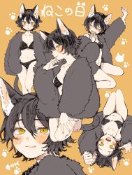 Rule 34 | 1girl, :p, animal ear fluff, animal ears, barefoot, bikini, bikini under clothes, black bikini, black hair, breasts, cat day, cat ears, cat girl, cat tail, closed eyes, coat, fangs, fur coat, highres, kashima kino, kneeling, long sleeves, looking at viewer, lying, navel, on back, open clothes, open coat, orange background, original, short hair, simple background, sitting, sleepy, slit pupils, small breasts, stomach, swimsuit, tail, tears, tongue, tongue out, wariza, yawning, yellow eyes