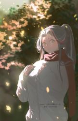 Rule 34 | 1girl, black hair, breasts, forest, genderswap, hand on own chest, highres, jinguang budaixi, large breasts, long hair, multicolored hair, nature, ponytail, red hair, red scarf, scarf, short eyebrows, sleeves past wrists, solo, streaked hair, sweater, tree, v-shaped eyebrows, white hair, white sweater, xue shan yin yan, yellow eyes, zoner