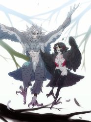 Rule 34 | 1boy, 1girl, anklet, black hair, feathers, harpy boy, head wings, isaki, jewelry, monster boy, monster girl, original, smile, talons, tattoo, white hair, winged arms, wings