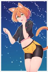 Rule 34 | 1girl, absurdres, animal ears, artist name, artist request, bare legs, black pants, black shirt, blush, breasts, cat ears, cat tail, female focus, green eyes, hair between eyes, highres, hoshizora rin, looking at viewer, love live!, love live! school idol project, melon yogurt, night, night sky, orange hair, outdoors, pants, parted lips, shirt, short hair, sky, small breasts, smile, solo, star (sky), tail, yellow eyes