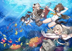 Rule 34 | &gt; &lt;, 10s, 4girls, :3, :d, air bubble, amatsukaze (kancolle), anchor hair ornament, bare legs, binoculars, black dress, black hair, blonde hair, brown hair, bubble, closed eyes, closed mouth, clownfish, coral, crop top, diving, dress, elbow gloves, fetal position, fish, freediving, garter straps, gloves, hair ornament, hair tubes, hairband, hand on own head, headgear, holding breath, kantai collection, legs folded, lifebuoy, long hair, long sleeves, moorish idol, multiple girls, open mouth, outstretched arms, red footwear, red legwear, rensouhou-chan, rensouhou-kun, ribbon, rudder footwear, sailor dress, shimakaze (kancolle), shoes, short dress, short hair, short hair with long locks, silver hair, sleeveless, smile, striped clothes, striped legwear, striped thighhighs, swept bangs, swim ring, teeth, thighhighs, tokitsukaze (kancolle), tropical fish, two side up, underwater, very long hair, white dress, white gloves, youcapriccio, yukikaze (kancolle), yuu (higashi no penguin)