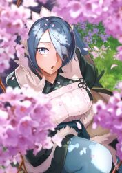 Rule 34 | 1girl, blue eyes, blue hair, breasts, cherry blossoms, commission, fire emblem, fire emblem fates, hair over one eye, hairband, highres, inomata konomu, japanese clothes, long bangs, looking at viewer, medium breasts, nintendo, pixiv commission, setsuna (fire emblem)