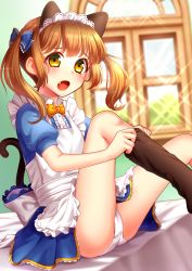 Rule 34 | 1girl, animal ears, apron, blush, brown hair, cat ears, cat tail, commentary, fang, hair ribbon, hasumi shizuko, looking at viewer, maid, maid apron, maid headdress, open mouth, original, panties, pantyshot, ribbon, sitting, sock pull, socks, solo, tail, twintails, underwear, white panties, yellow eyes