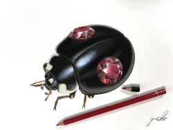 Rule 34 | abe yuichiro, absurdres, animal focus, artist name, beetle, black eyes, bug, colored pencil (medium), crystal, from above, full body, gem, highres, insect, no humans, original, pencil, red gemstone, signature, simple background, traditional media, white background