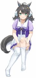 Rule 34 | 1girl, ahoge, animal ears, black hair, blush, breasts, closed mouth, daring tact (umamusume), dressing, full body, green eyes, highres, horse ears, horse girl, horse tail, knee up, looking at viewer, maaason, medium breasts, no shoes, purple shirt, sailor collar, school uniform, shirt, short sleeves, simple background, sitting, skirt, smile, solo, tail, thighhighs, tracen school uniform, umamusume, white background, white skirt, white thighhighs