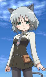 Rule 34 | 00s, 1girl, animal ears, awa, black pantyhose, green eyes, jaggy lines, lowres, oekaki, pantyhose, sanya v. litvyak, short hair, silver hair, solo, strike witches, tail, world witches series