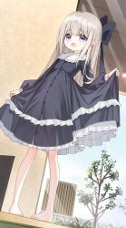 Rule 34 | 1girl, :d, barefoot, black bow, black dress, bow, commentary request, dress, frilled dress, frills, grey hair, hair between eyes, hair bow, healer girl (yuuhagi (amaretto-no-natsu)), highres, long sleeves, open mouth, original, pigeon-toed, puffy long sleeves, puffy sleeves, purple eyes, skirt hold, sleeves past wrists, smile, solo, standing, tree, yuuhagi (amaretto-no-natsu)