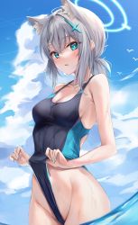 Rule 34 | 1girl, animal ear fluff, animal ears, bad id, bad twitter id, bare shoulders, bird, blue archive, blue eyes, blue one-piece swimsuit, blue sky, blush, breasts, bright pupils, cleavage, clothes pull, cloud, cloudy sky, collarbone, competition swimsuit, contrail, cowboy shot, cross hair ornament, day, extra ears, frontal wedgie, grey hair, hair ornament, halo, highleg, highleg swimsuit, highres, horizon, looking at viewer, marisasu (marisa0904), medium breasts, medium hair, mismatched pupils, nail polish, ocean, one-piece swimsuit, one-piece swimsuit pull, outdoors, pulled by self, seagull, shiroko (blue archive), shiroko (swimsuit) (blue archive), sky, solo, swimsuit, wading, water, wedgie, wet, white pupils