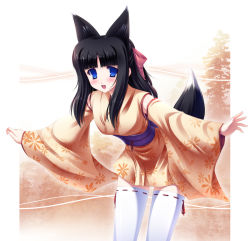 Rule 34 | animal ears, fox ears, fox tail, japanese clothes, kimono, sakai sakae, short kimono, solo, tail, thighhighs