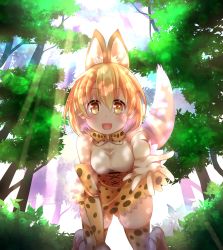 Rule 34 | 10s, 1girl, absurdres, all fours, animal ears, animal print, bare shoulders, blonde hair, bow, cat ears, cat tail, dani (kamenoaru), day, elbow gloves, forest, gloves, highres, kemono friends, looking at viewer, nature, open mouth, outdoors, outstretched hand, serval (kemono friends), serval print, serval tail, shirt, short hair, skirt, sleeveless, sleeveless shirt, solo, tail, thighhighs, white shirt, yellow eyes, zettai ryouiki