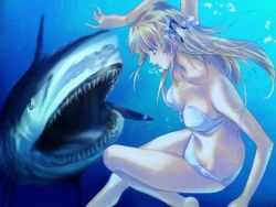 Rule 34 | 1girl, barefoot, bikini, blonde hair, blue eyes, bubble, freediving, game cg, holding breath, honami yui, long hair, min-naraken, non-web source, see in ao, shark, solo, swimming, swimsuit, twintails, underwater, water, you gonna get raped