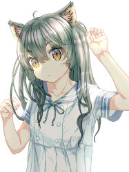 Rule 34 | 1girl, animal ear fluff, animal ears, backlighting, brown eyes, cat ears, dress, expressionless, female focus, grey hair, head tilt, highres, original, ozzzzy, paw pose, sailor collar, simple background, solo, two side up, white background, white dress