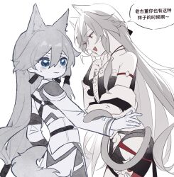 2girls animal_ears blue_eyes cat_ears cat_girl cat_tail chinese_clothes chinese_commentary chinese_text commentary_request deformed fu_hua fu_hua_(azure_empyrea) fu_hua_(herrscher_of_sentience) fu_hua_(taixuan_impression) grey_hair hair_between_eyes hanfu haruka_(rsyaooooo) highres honkai_(series) honkai_impact_3rd long_hair multiple_girls open_mouth red_eyes smile tail translated very_long_hair white_hanfu