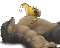 Rule 34 | animal, animal ears, animal print, artist request, cat, furry, muscular, simple background, size difference, tiger print, werewolf, wolf, yellow eyes