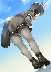 Rule 34 | 10s, 1girl, aaru (tenrake chaya), ass, belt, bent over, bird tail, bird wings, black footwear, black gloves, bodystocking, collared shirt, fingerless gloves, from behind, full body, gloves, grey shirt, grey shorts, head wings, highres, kemono friends, looking at viewer, looking back, low ponytail, necktie, open mouth, pantyhose, pocket, profile, shirt, shoebill (kemono friends), shoes, short hair, short sleeves, shorts, side ponytail, silver hair, silver necktie, silver shirt, silver shorts, solo, tail, white necktie, wings, yellow eyes