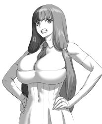 Rule 34 | 1girl, between breasts, borrowed character, breasts, clenched teeth, covered navel, detached collar, elbow gloves, fingerless gloves, fujii eishun, gloves, greyscale, hands on own hips, highres, large breasts, long hair, looking at viewer, monochrome, necktie, necktie between breasts, original, simple background, teeth, v-shaped eyebrows, very long hair, white background