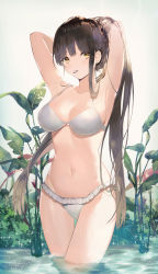 Rule 34 | 1girl, absurdres, armpits, arms behind head, arms up, backlighting, belda34, bikini, bloom, blush, breasts, brown hair, collarbone, crossed legs, dripping, expressionless, frilled bikini, frills, hair tie, highres, long hair, looking at viewer, medium breasts, mouth hold, navel, original, outdoors, plant, ponytail, sidelocks, solo, sparkle, standing, swimsuit, thigh gap, tying hair, wading, water, wet, white bikini, yellow eyes
